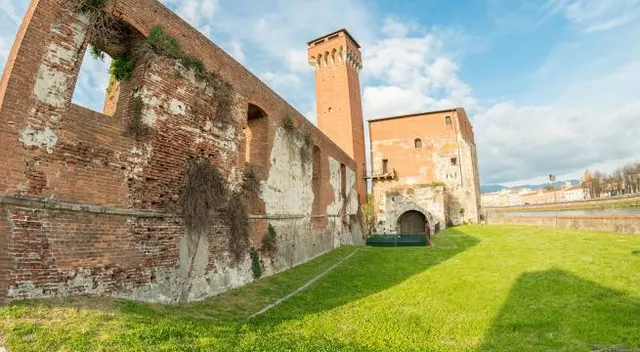 Museo delle Navi Antiche di Pisa