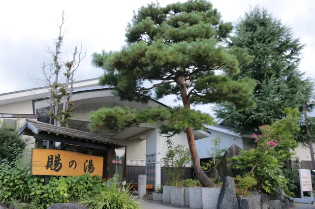 Oitama Onsen - Tama no Yu