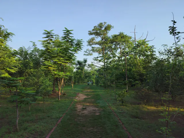 Jungle Trail Park/Nature Trail Park