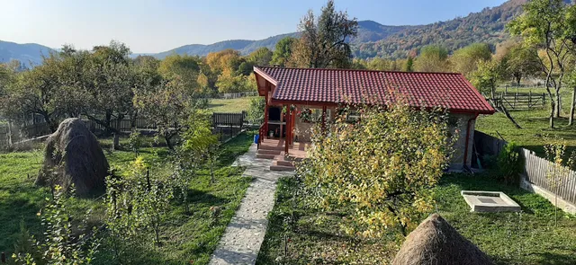 Pensiunea Agroturistica Ioana
