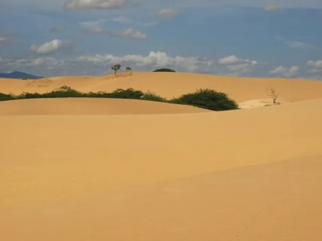 Médanos de Coro National Park