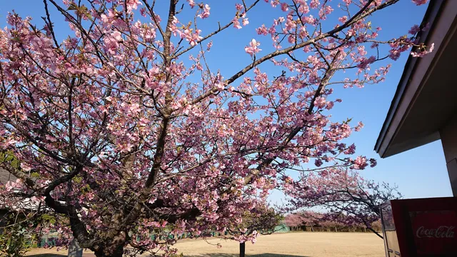 Shirako Natural Park