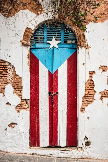 Puerto Rican Flag Door
