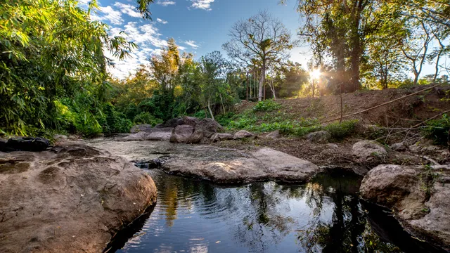 ไร่วังบอน