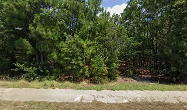 Platt Springs Crossing