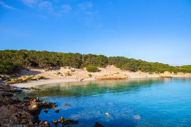 Spiaggia di Cala Andreani