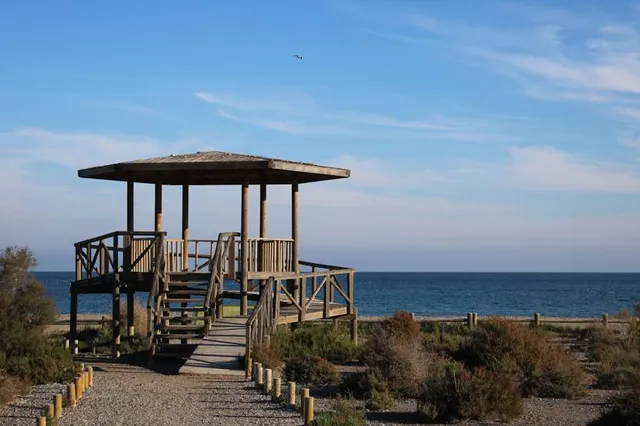 Humedal Ribera de la Algaida