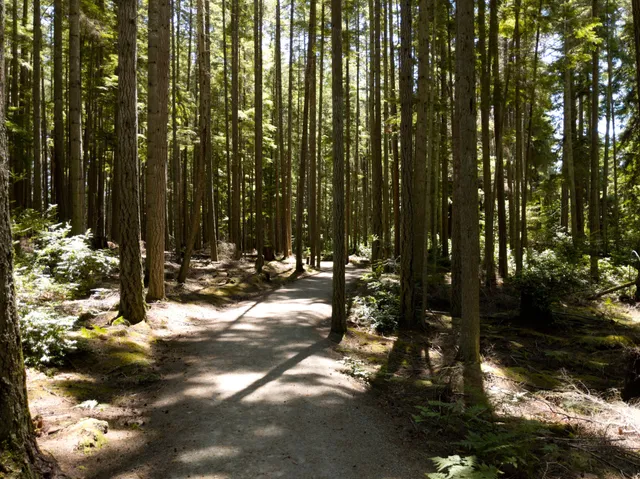 Trustland Trails - South Whidbey Parks & Recreation District