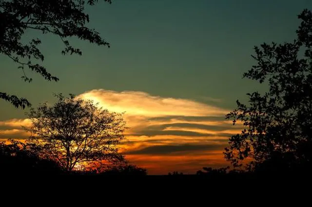 Mutale Local Municipality