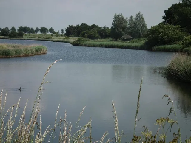 Kaaskenswater