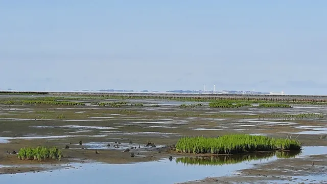 Uithuizerwad