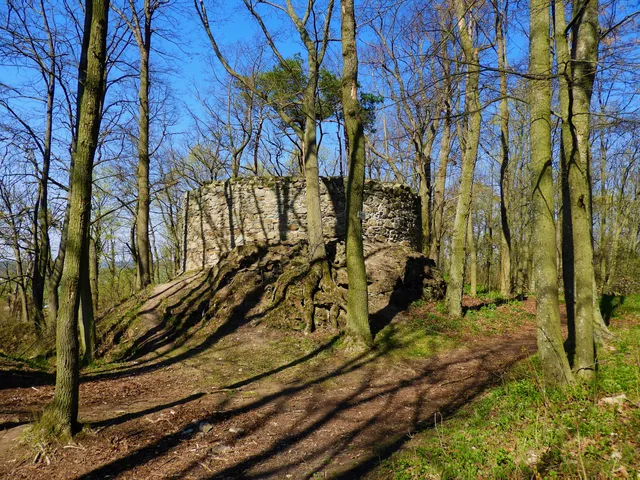 Zřícenina hradu Prácheň