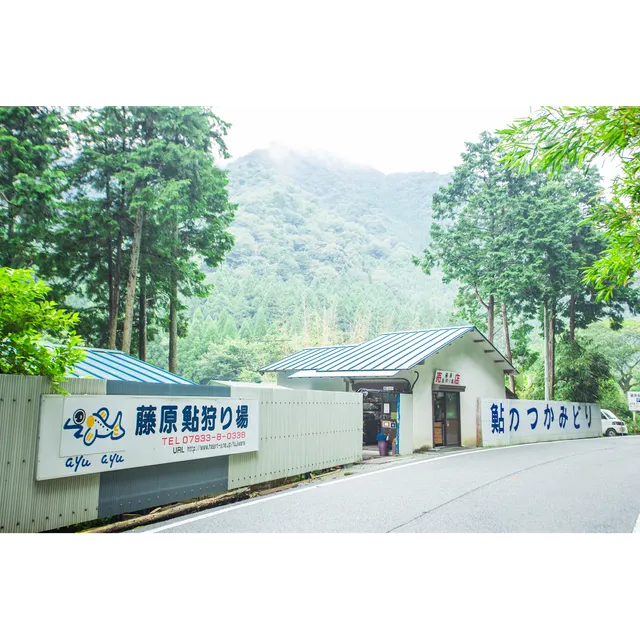 フジワラアユカリバ