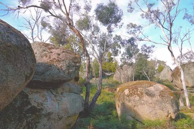 Rocks Reserve