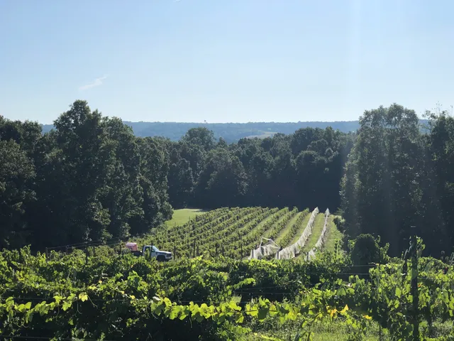 Grinder's Switch Winery