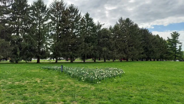 Olmsted Parks Conservancy