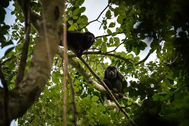 Reserva Bosque Seco Lalo Loor