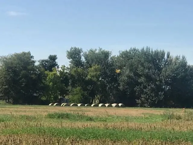 Cedar Creek Township