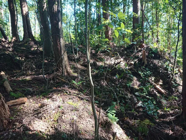 Site of Sagawa Castle