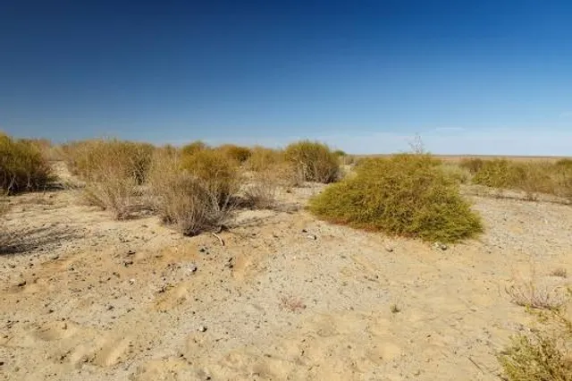 Yangudi Rassa National Park