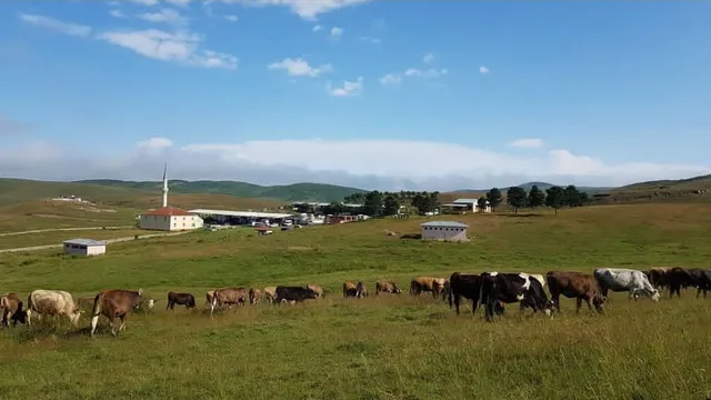 Selemen (Selimhan) Yaylası