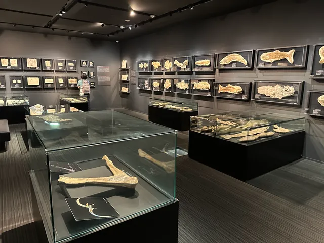 Oishi Fossils Gallery of Mizuta Memorial Museum, Josai Unversity Educational Corporation