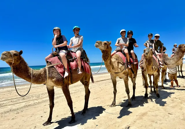 Camel Ride