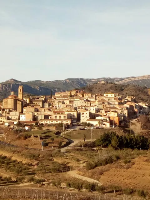 Álvaro Palacios, S.L.