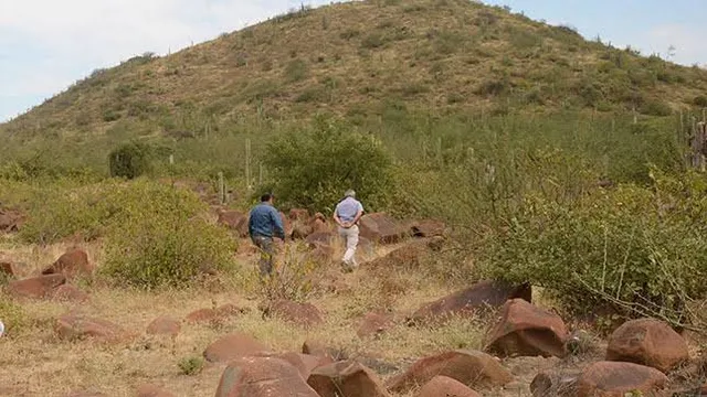 Manuel Antonio Mesones Muro