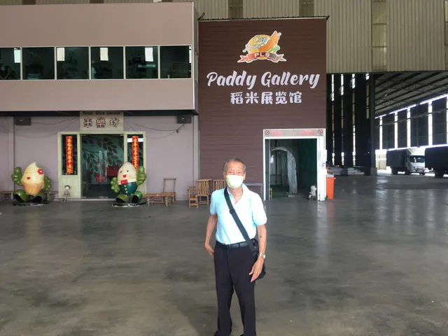 Paddy Museum