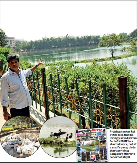 Chinnappanahalli Lake