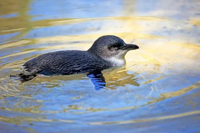 Ecological Center El Jicaro