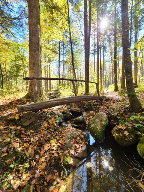Twin Creeks Trail Trailhead
