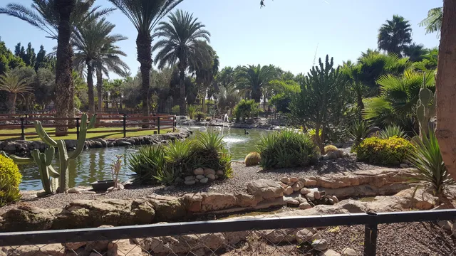 Zoo Parc Villate Limoune