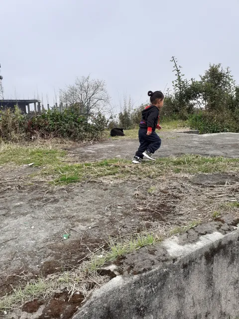 photo-3