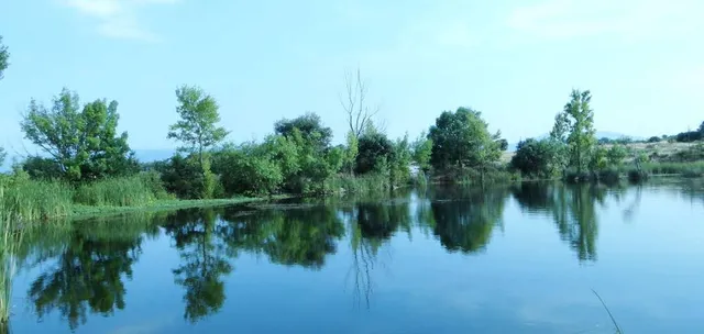 Etang de Colbert