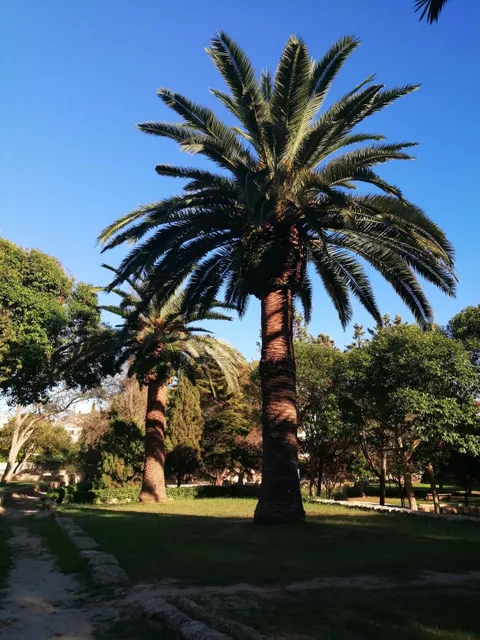 photo-2