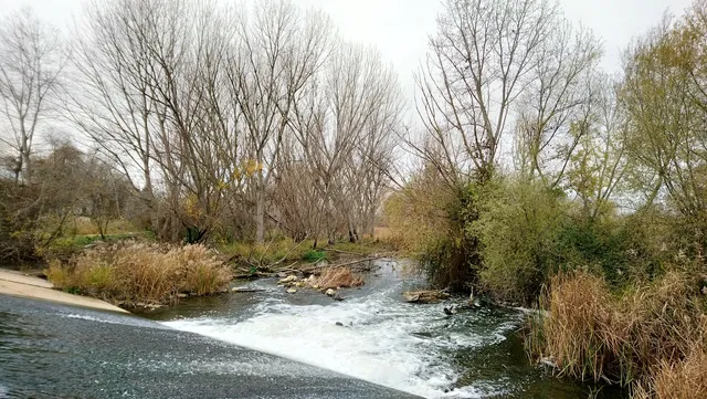 Presa del Río Henares
