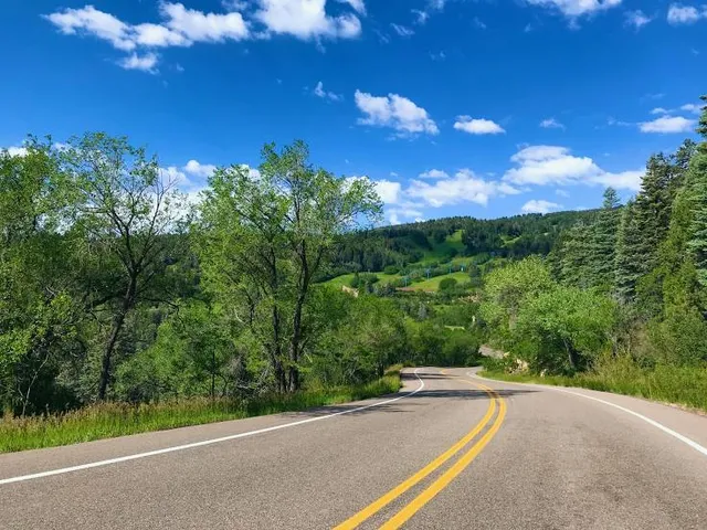 Cibola National Forest