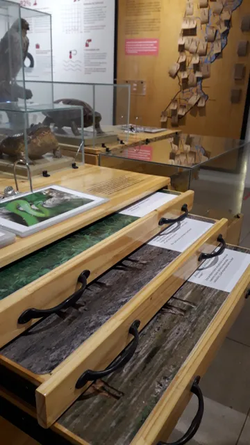 Provincial Museum of Natural Sciences "Florentino Ameghino"