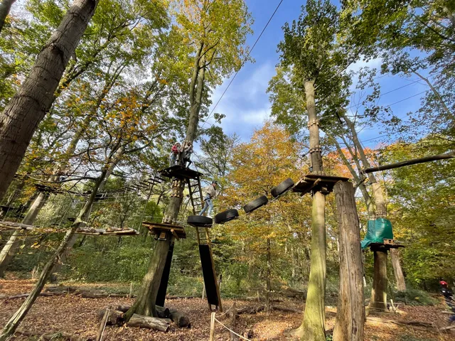 Climbing Park Fun Forest Rotterdam