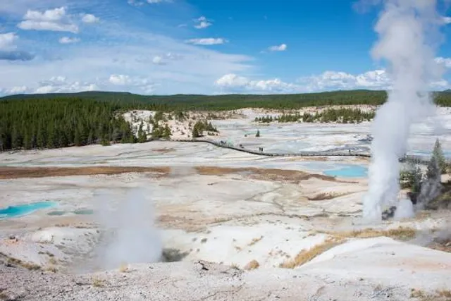 Norris Geyser Basin
