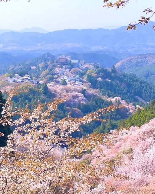Yoshino Senbon Observation Deck