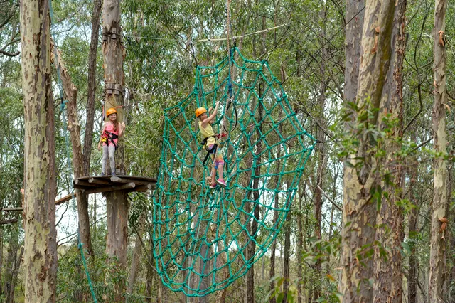 Treetops Adventure Central Coast