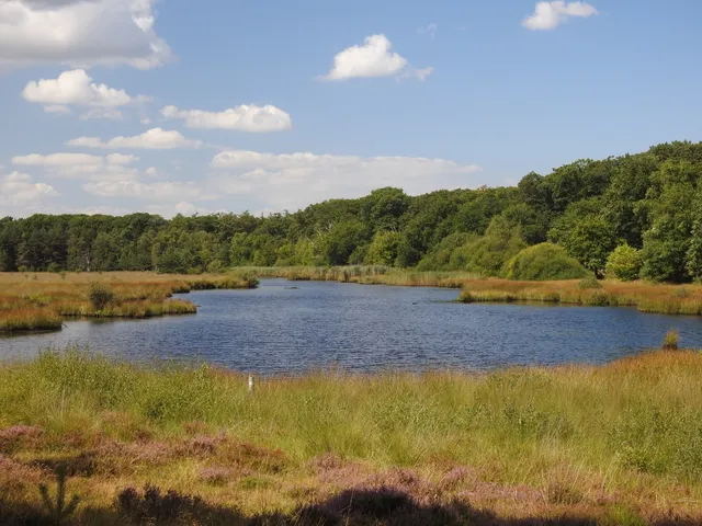 Boswachterspad Kootwijk