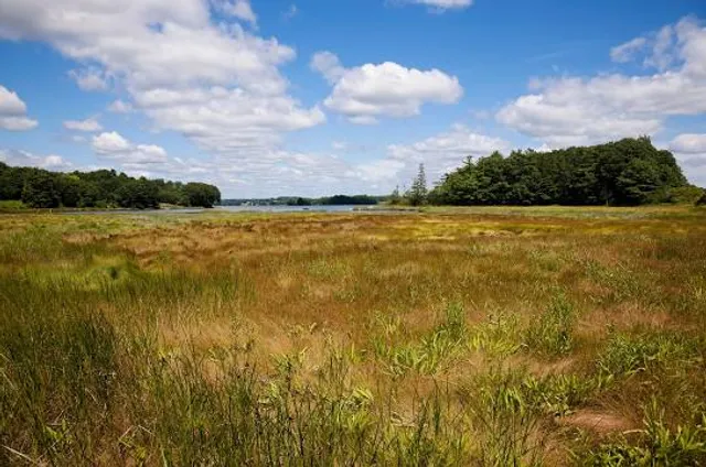 Whaleback Shell Midden State Historic Site