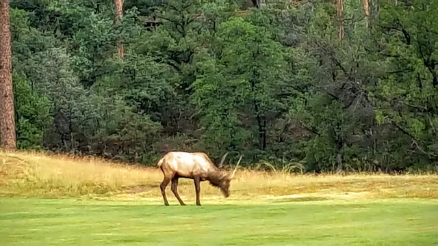 Chaparral Pines Trailhead