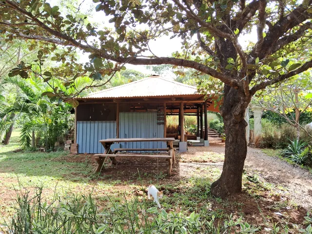 Barba Negra Houses Costa Rica