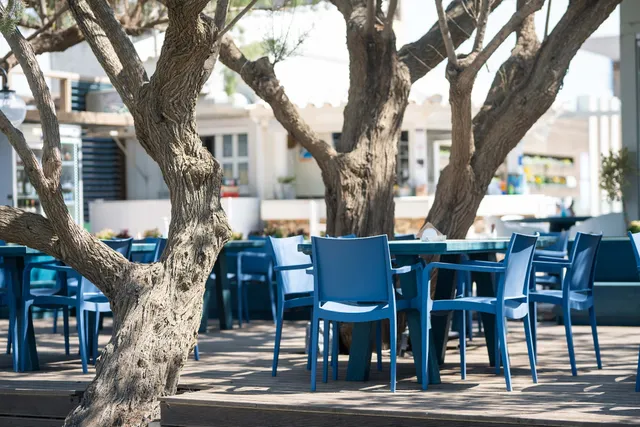 Alkionides Seaside Bar-Restaurant