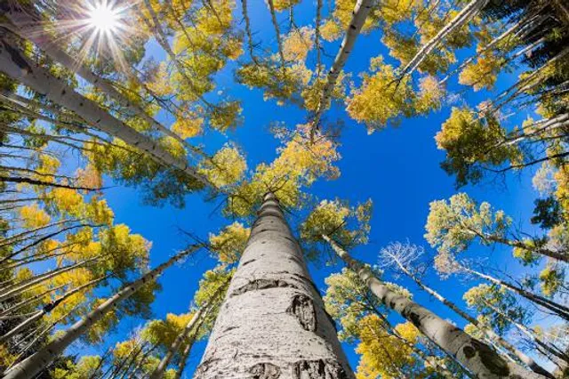 Wolfsschlucht Herbetswil
